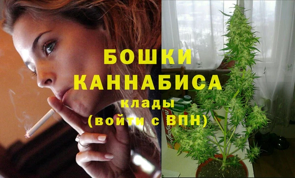 спайс Лагань