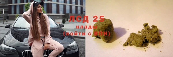 спайс Лагань