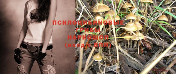спайс Лагань