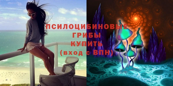 спайс Лагань