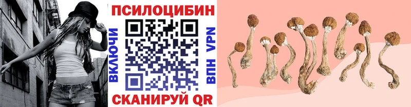 Купить  Красноперекопск  Псилоцибиновые грибы Cubensis 